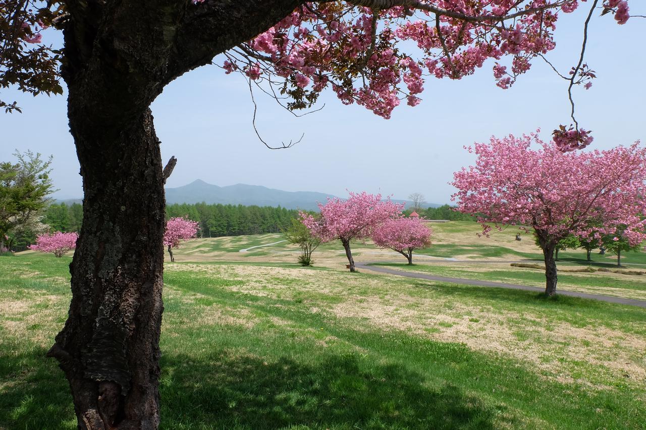 Appikogen Pension Mutti Hachimantai  Esterno foto